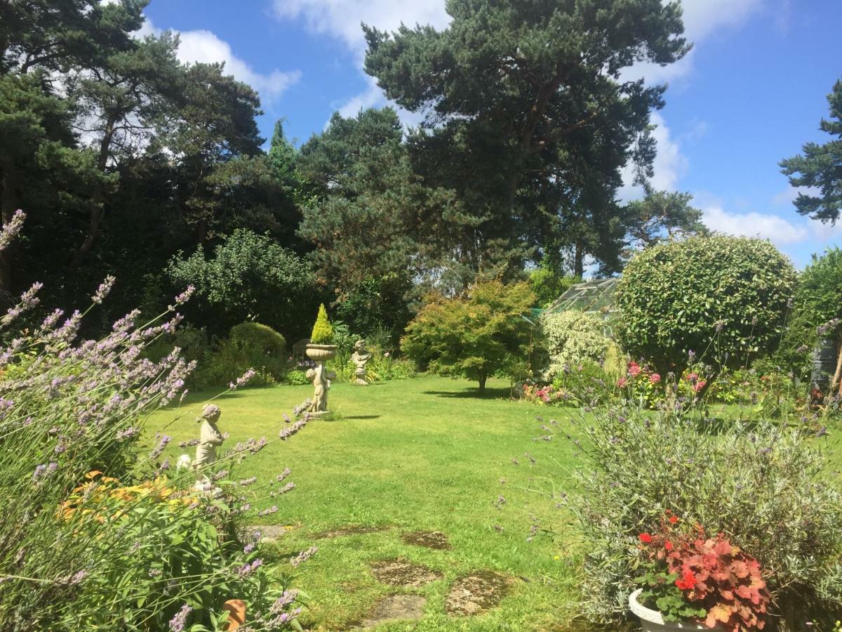 Bed and breakfast Heatherdene House 3*